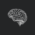 Why Forgetting Is Actually Your Brain